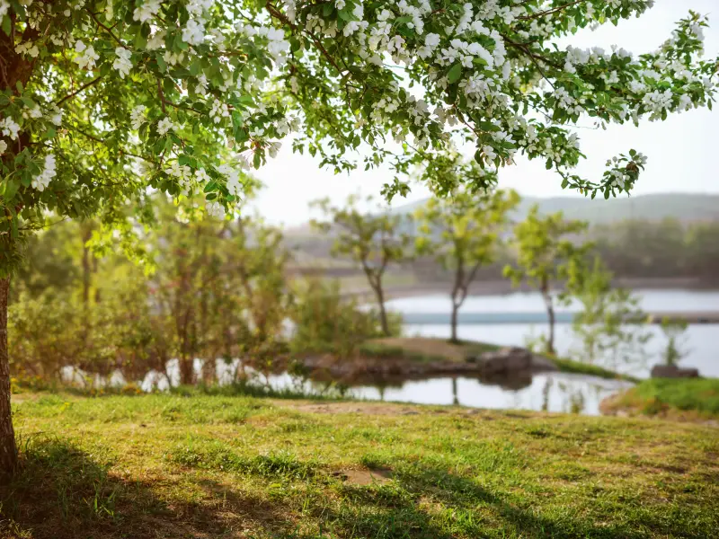 Lake Ponca Park